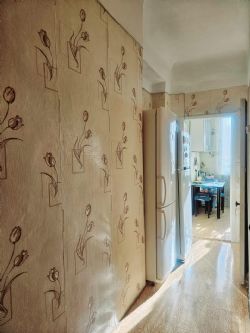 3-комн.кв. на Находкинском пр.